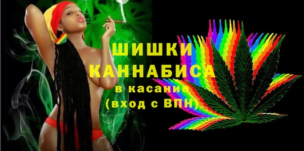 дживик Кинешма