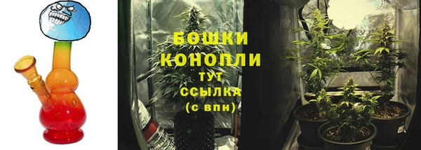 Альфа ПВП Рославль