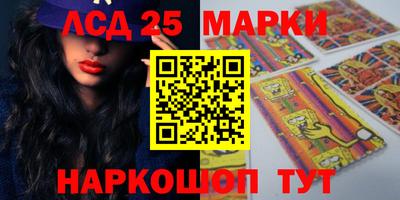 гидропоника Дубна